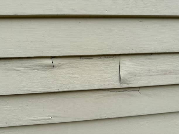  Devola, OH Siding Installation Pros